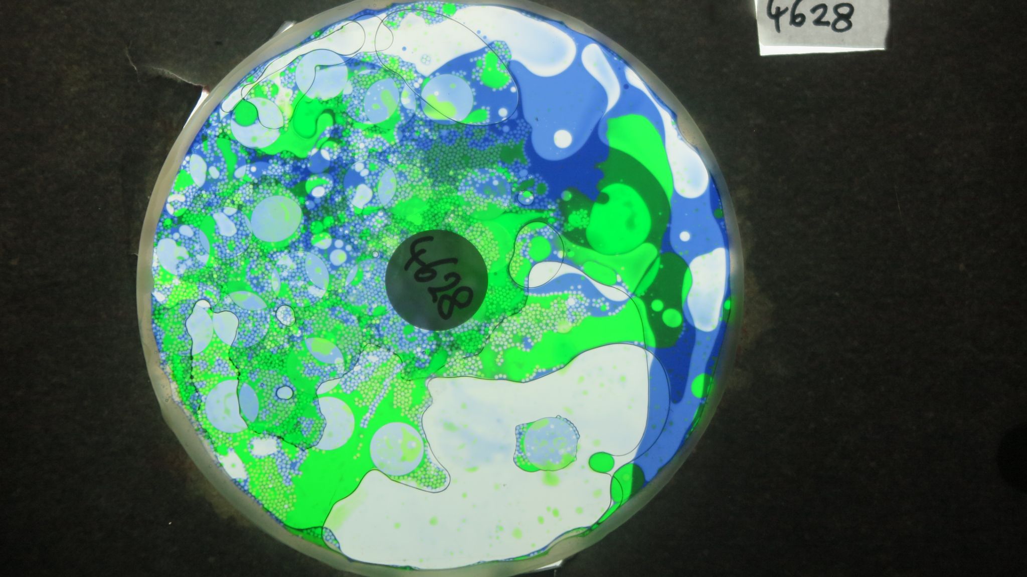 BV4628 bubble vision oil wheel